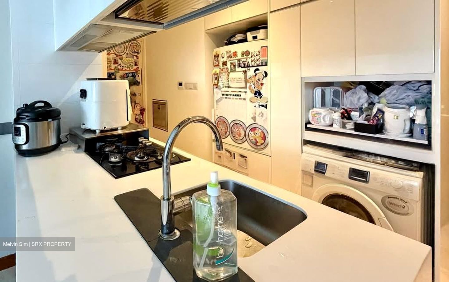 Vista Residences (D12), Condominium #566624321